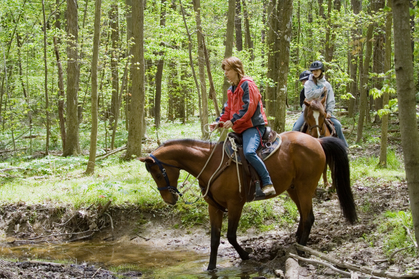 people horseback riding in the woods during springtime