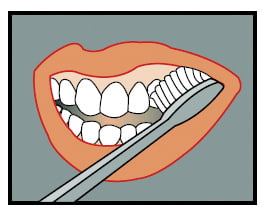 Place the bristles at a 45 degree angle to the teeth at the gumline.