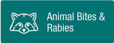Animal Bites & Rabies