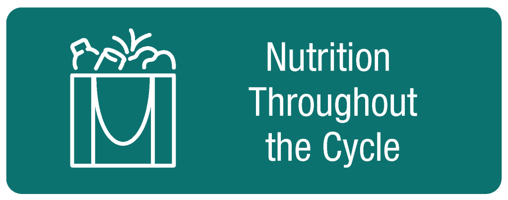 Nutrition Throughout the lifecycle