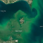 arial shot of Blue Green algae in Lake Erie near Pelee island