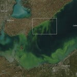 arial shot of Blue Green algae in Lake Erie near Windsor and US Border