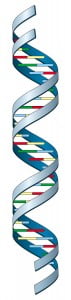 HNHU_DNA_Molecule