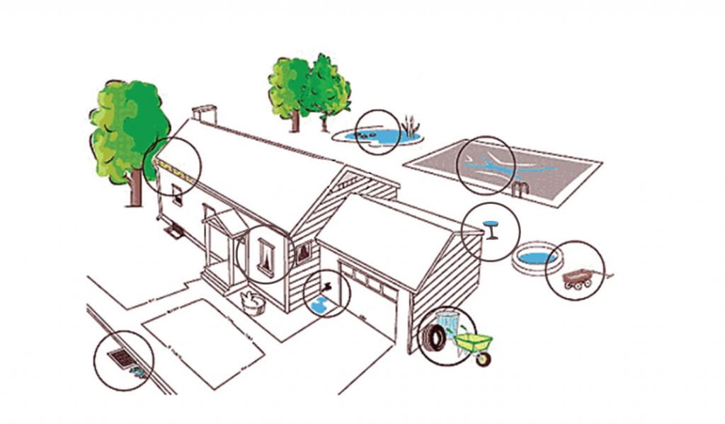 Mosquito-Breeding-Sites