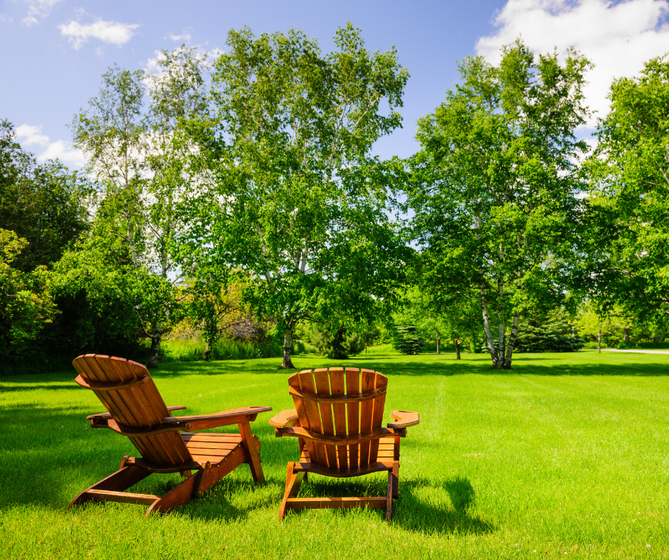 Muskoka chairs on lawn in summer