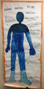 Students drew a picture of the human body when you drink water