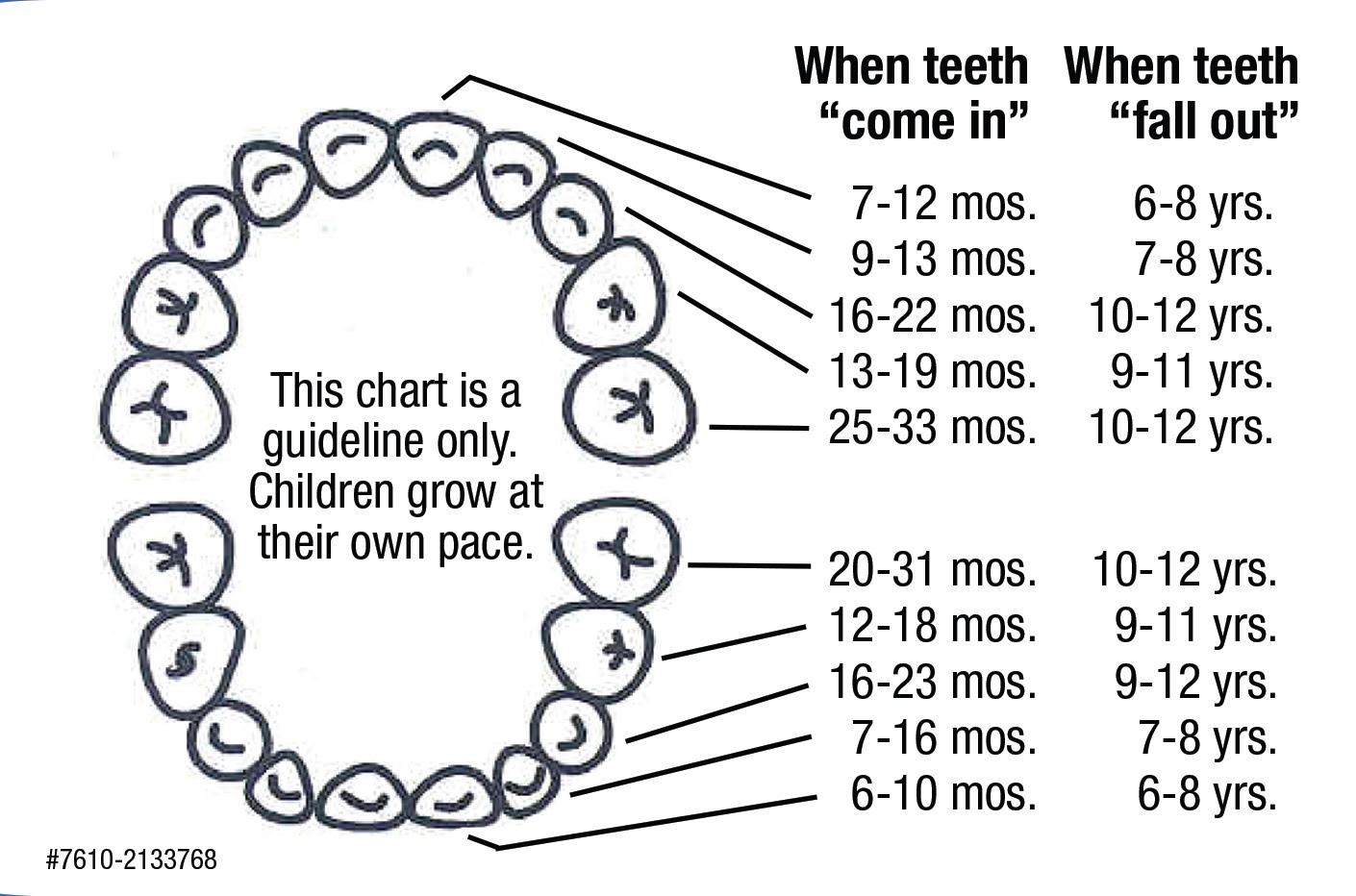 Toddler Teeth Growth Chart